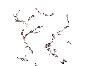 The twigs or branches of the magnolias isolated from the rest of the pattern